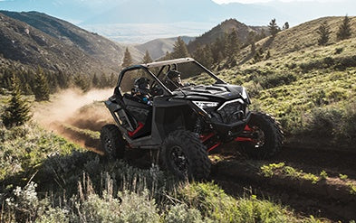 RZR DYNAMIX