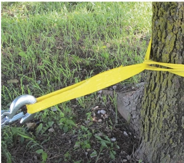 Kimpex Tree protection strap